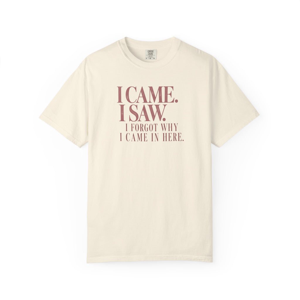 I Came. I Saw. T-Shirt