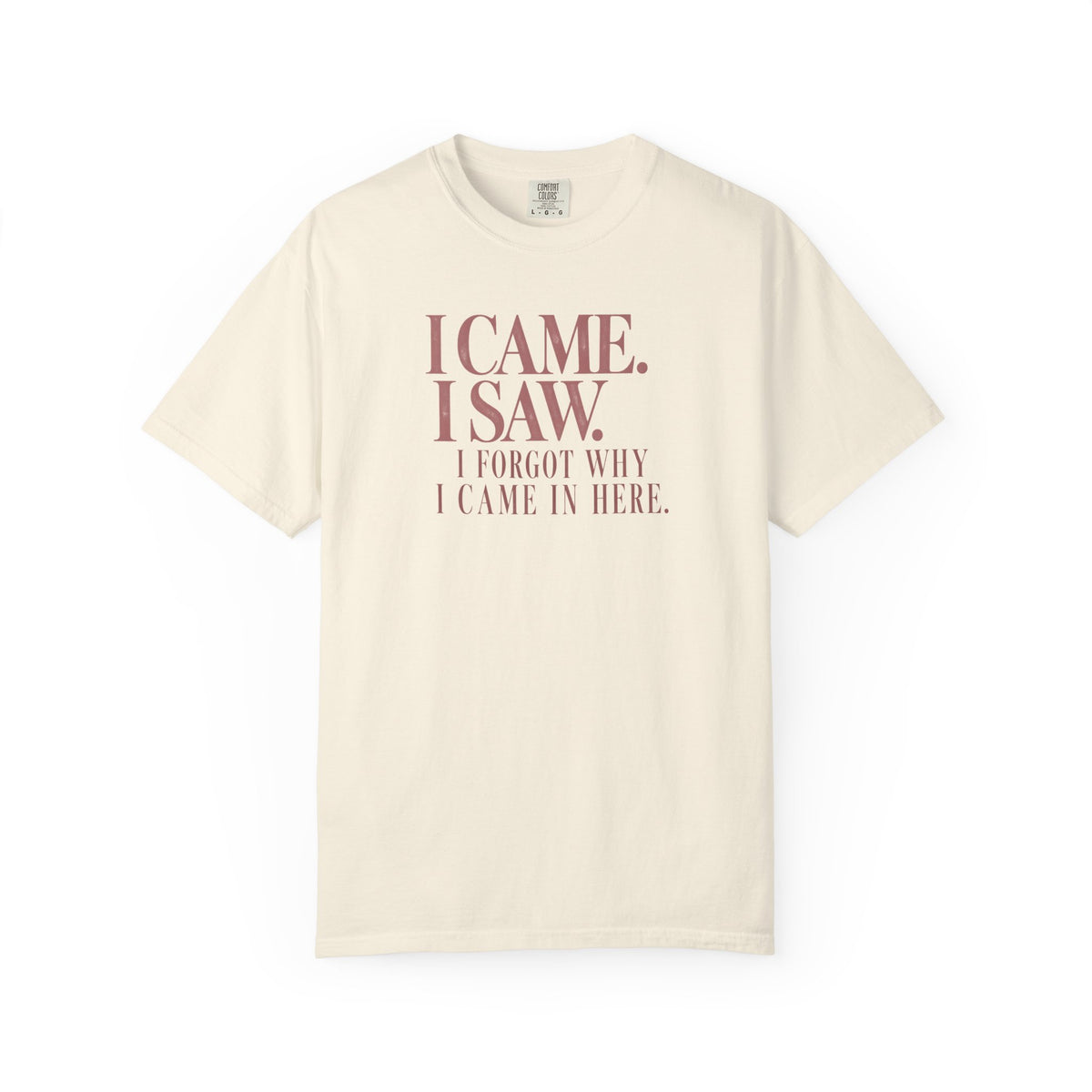 I Came. I Saw. T-Shirt