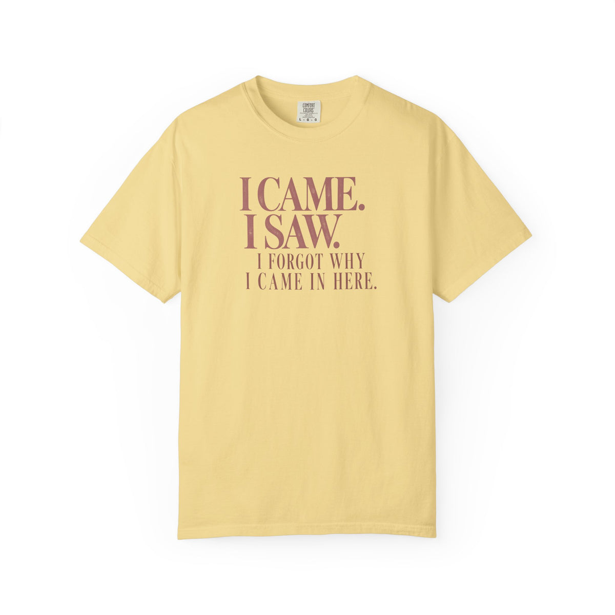 I Came. I Saw. T-Shirt