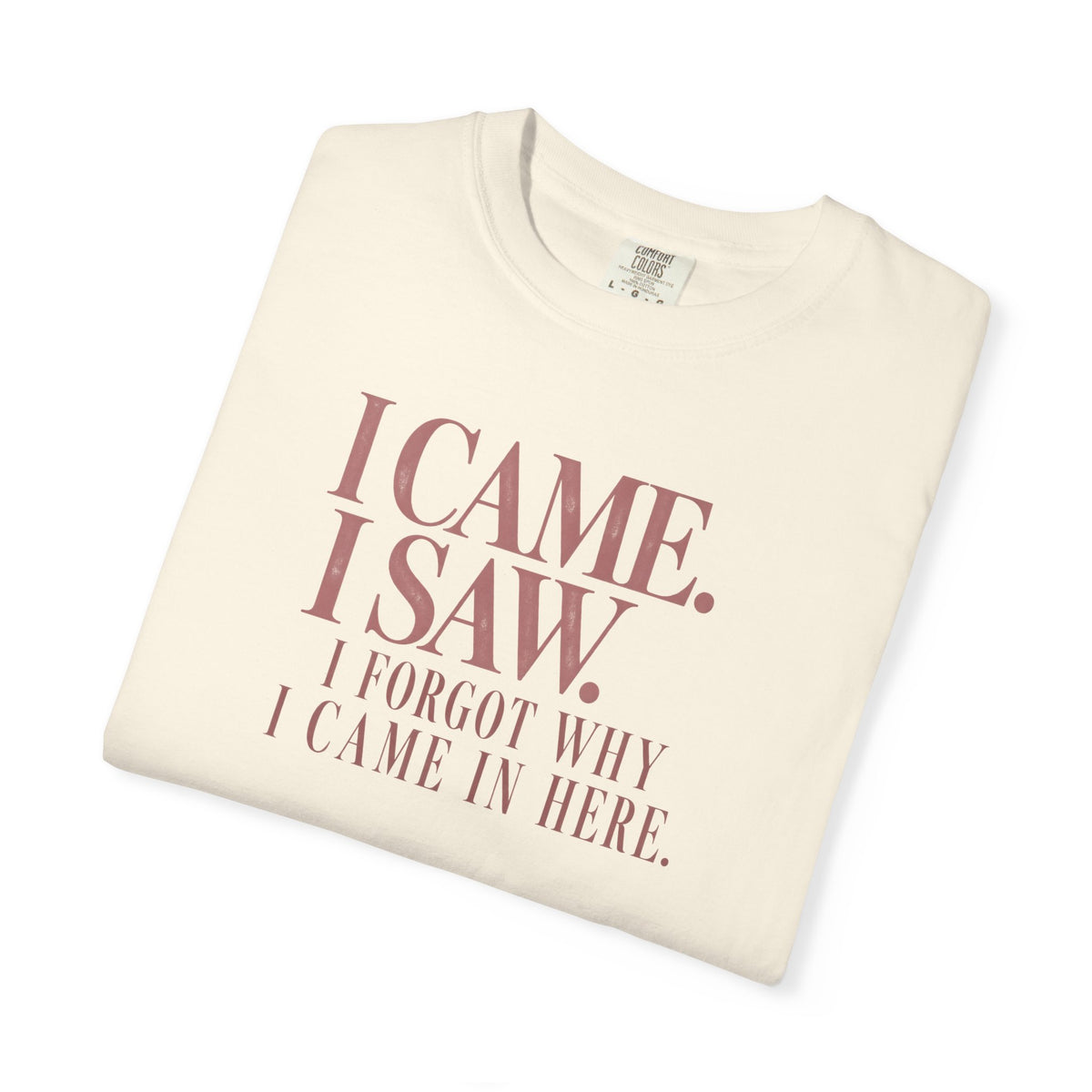 I Came. I Saw. T-Shirt