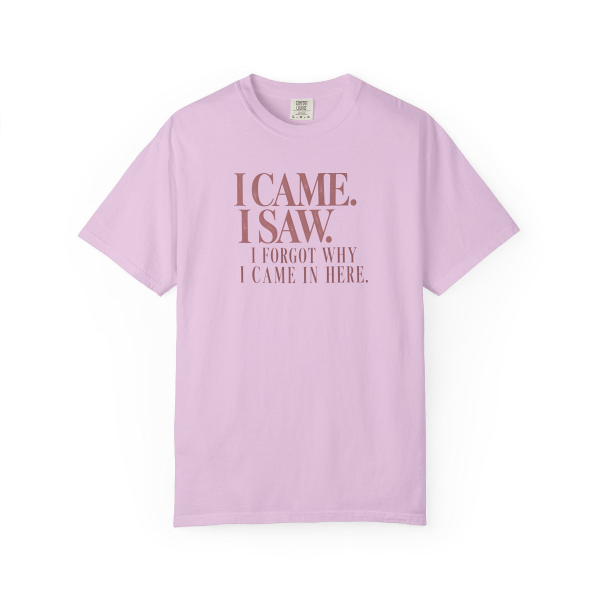 I Came. I Saw. T-Shirt