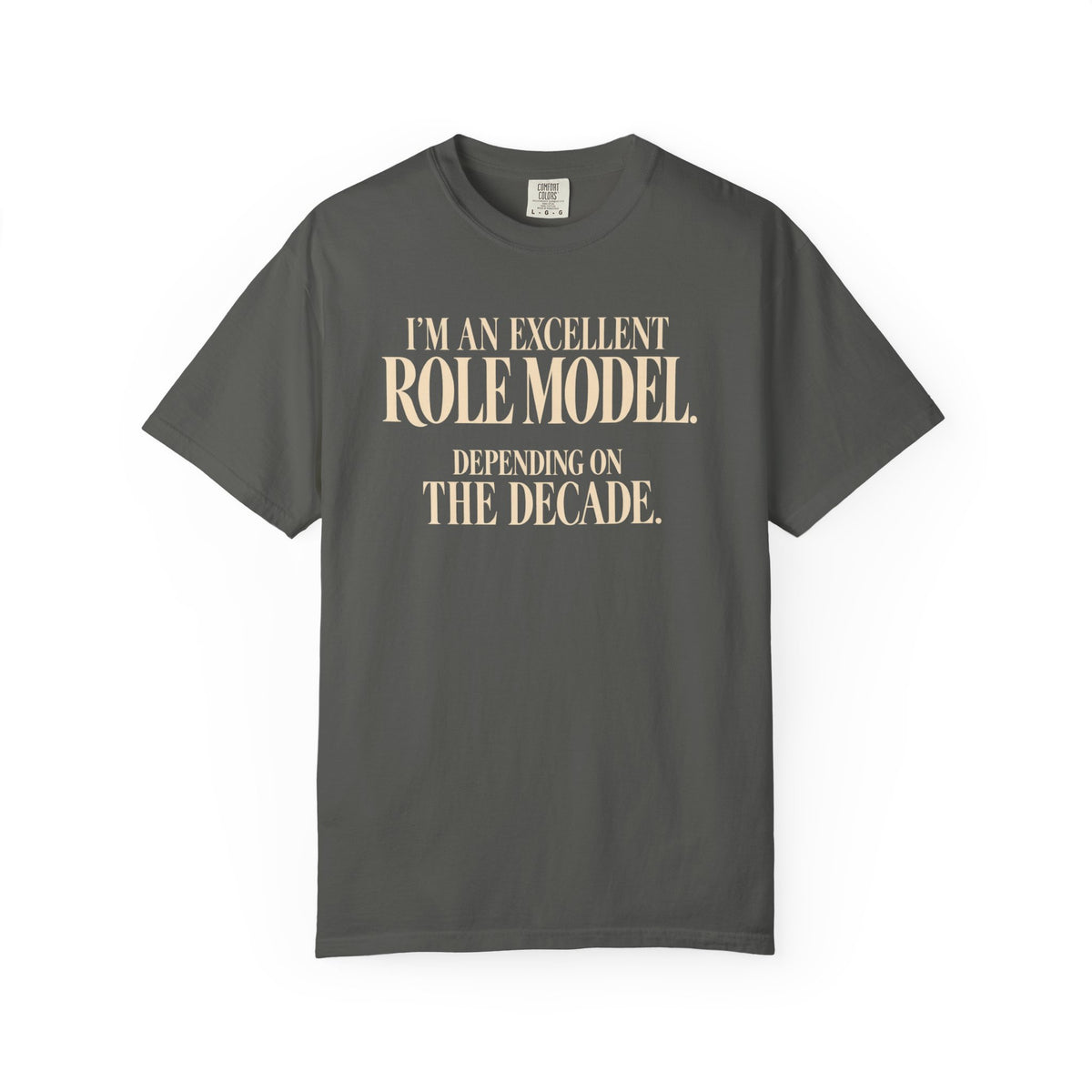 Excellent Role Model T-Shirt