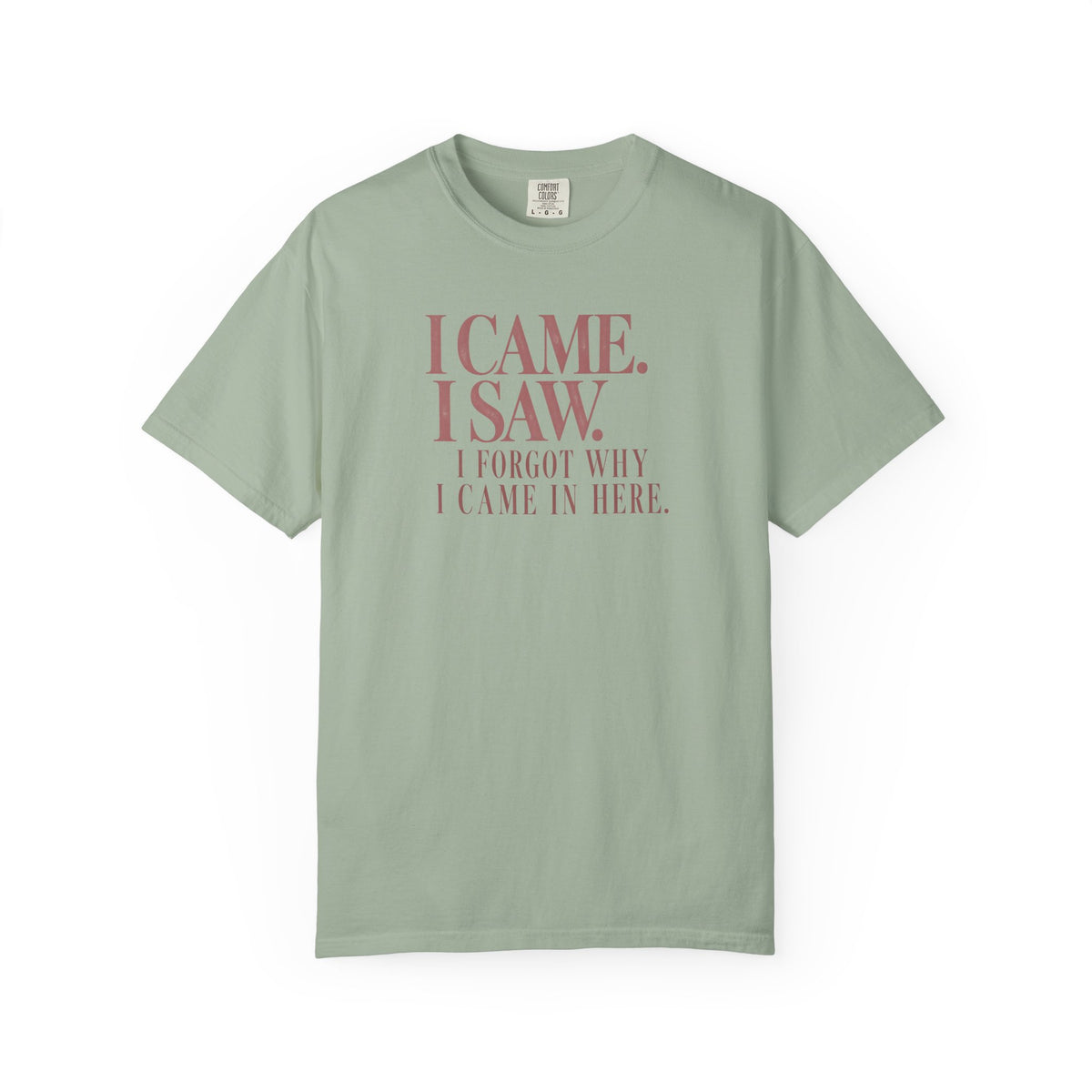 I Came. I Saw. T-Shirt